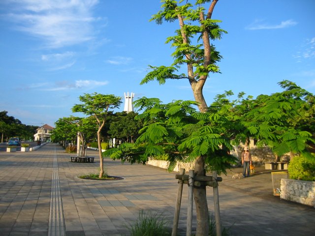沖縄の無料写真素材