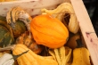イタリアの野菜・果物・食材写真