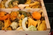イタリアの野菜・果物・食材写真