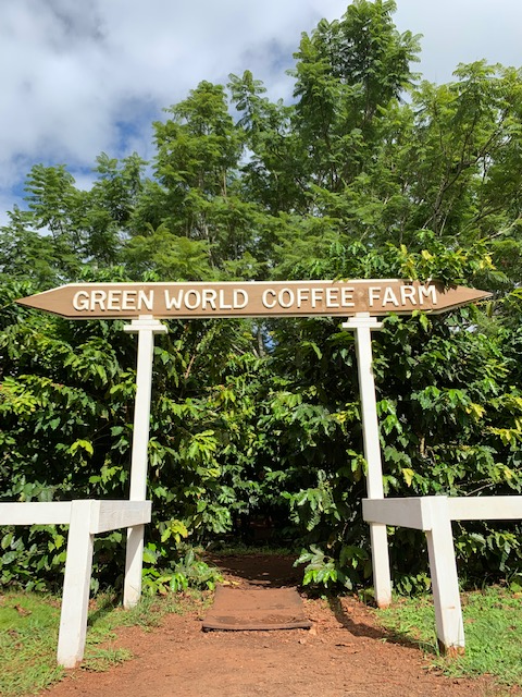 グリーンワールドコーヒーファーム(Green-World-Coffee-Farm)